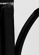 Wall_Art_Alphabet_Photography_Art_ 1899